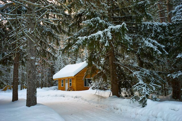 A cozy cabin in a pine forest.